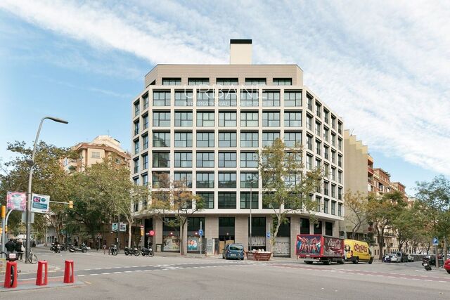 Bright 1-Bedroom Apartment with Expansive Terrace and amazing views in El Clot, Barcelona