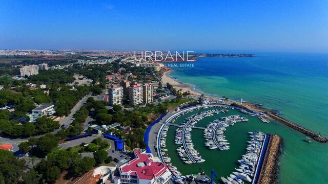 Un Appartement Spacieux et Lumineux à Campoamor